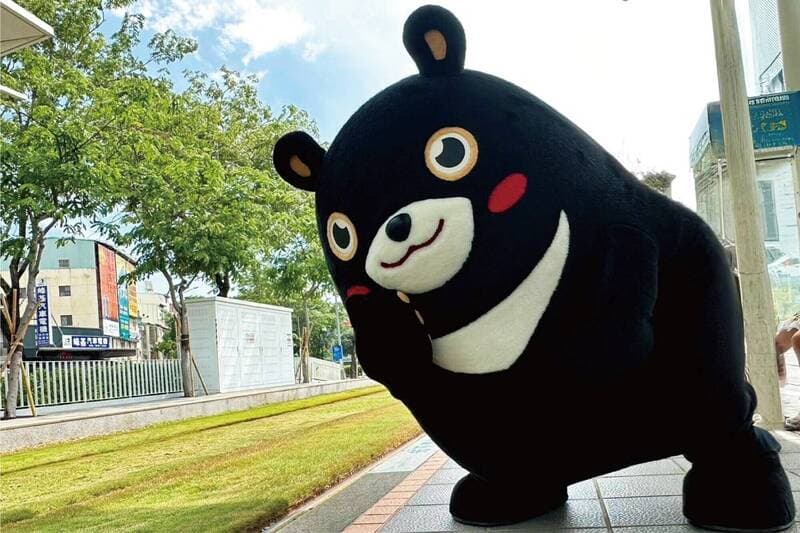 拯救台灣黑熊:保護瀕危物種的新挑戰